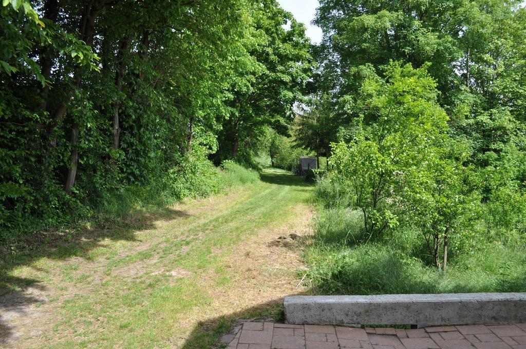 Ferienwohnung Kastle Bad Bergzabern Bagian luar foto