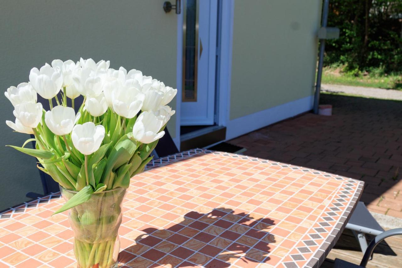 Ferienwohnung Kastle Bad Bergzabern Bagian luar foto